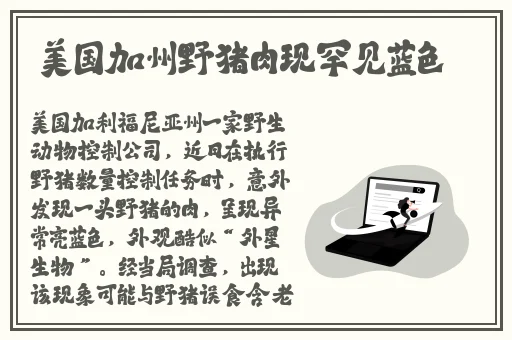 老妇人70plus