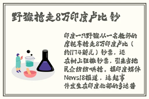 草莓香蕉榴莲秋葵破解